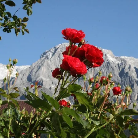 Апартаменты Haus Huber *