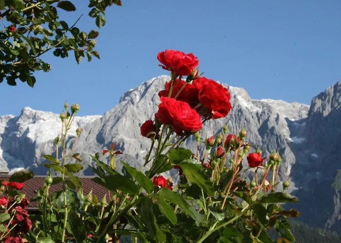 Lägenhet Huber Hochkönig *